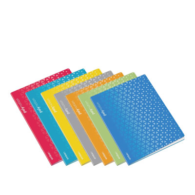 Caderno Agrafado Ambar Triangulos 90gr A5 48 Folhas Pautado