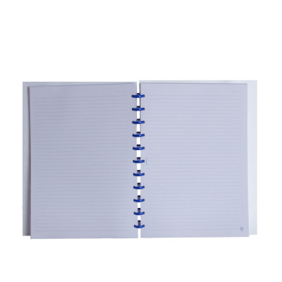 Caderno Inteligente Ecosmart Capa Polipropileno 100gr 100 Folhas Flow