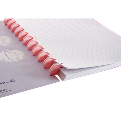 Caderno Inteligente Ecosmart Capa Polipropileno 100gr 100 Folhas Sweetie