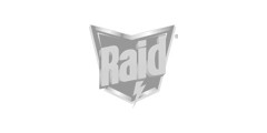 Raid